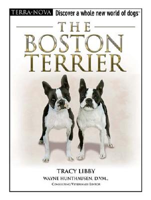 The Boston Terrier (Terra-Nova)