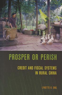 Prosper or Perish: Credit and Fiscal Systems in Rural China