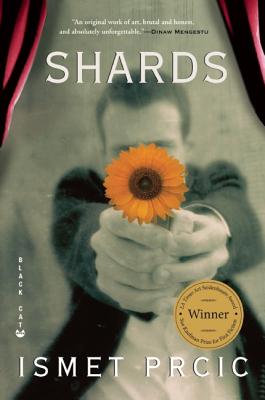 Shards: A Novel
