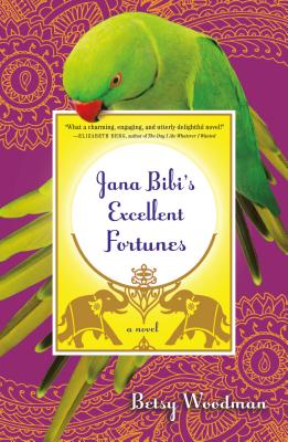 Jana Bibi's Excellent Fortunes (Jana Bibi Adventures)