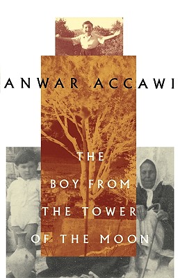 Image for The Boy from the Tower of the Moon