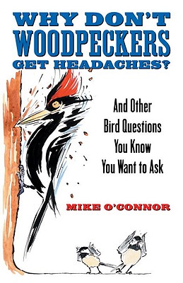 Why Don't Woodpeckers Get Headaches: And Other Bird Questions You Know You Want to Ask