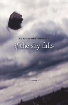 If the Sky Falls: Stories (Yellow Shoe Fiction)