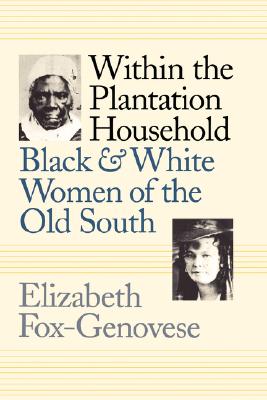 Within the Plantation Household: Black and White Women of the Old South (Gender and American Culture)