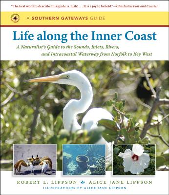 Life along the Inner Coast: A Naturalist's Guide to the Sounds, Inlets, Rivers, and Intracoastal Waterway from Norfolk to Key West