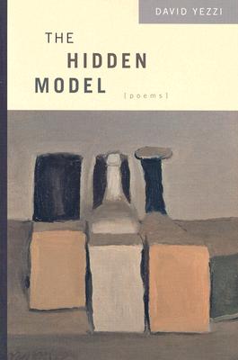 Hidden Model