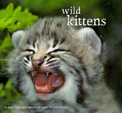 Wild Kittens