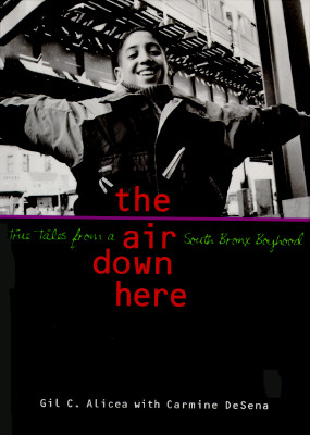 The Air Down Here: True Tales from a South Bronx Boyhood