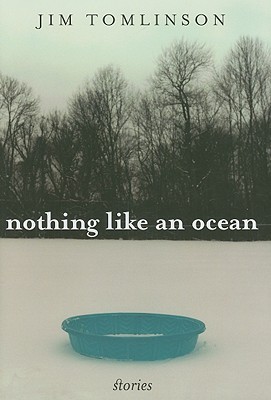NOTHING LIKE AN OCEAN: STORIES (KENTUCKY VOICES)