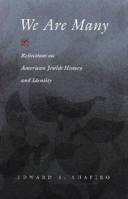 We Are Many: Reflections on American Jewish History and Identity (Modern Jewish History)