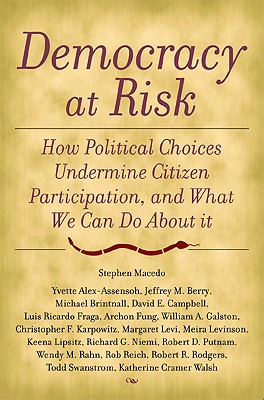 Image for Democracy at Risk: How Political Choices Undermine Citizen Participation, and What We Can Do About It Democracy at Risk: How Political Choices Undermine Citizen Participation, and What We Can Do About It