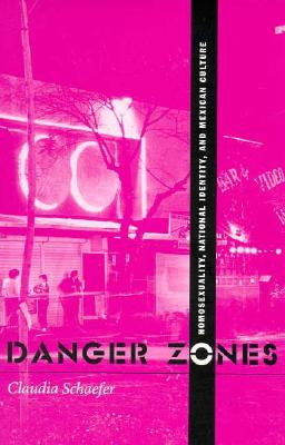 Danger Zones: Homosexuality, National Identity, and Mexican Culture