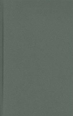 Screens: Viewing Media Installation Art (Volume 30) (Electronic Mediations)