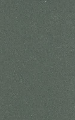 Rock Art of the Caribbean (Caribbean Archaeology and Ethnohistory)