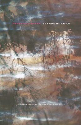 Practical Water (Wesleyan Poetry Series)