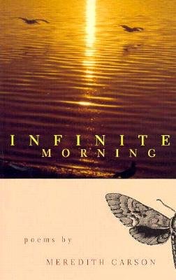 Infinite Morning: Poems (Hollis Summers Poetry Prize)