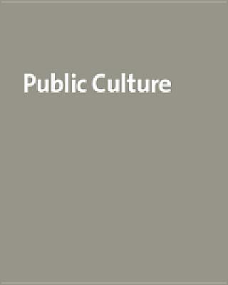 Johannesburg: The Elusive Metropolis [Public Culture, Volume 16, No. 3]