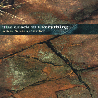 The Crack In Everything (Pitt Poetry Series)