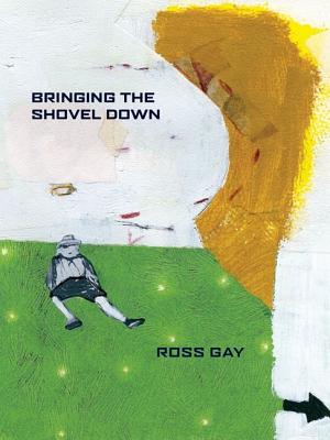 Bringing the Shovel Down (Pitt Poetry Series)