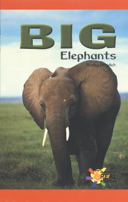 Big Elephants (Real Readers)