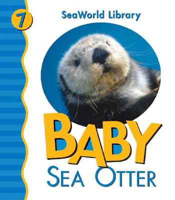 Baby Sea Otter