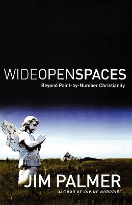 Wide Open Spaces: Beyond Paint [Paperback] Jim Palmer