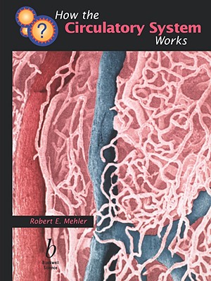 How the Circulatory System Works