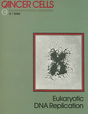 Eukaryotic DNA Replication (Cancer Cells)