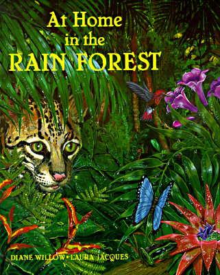 At Home in the Rain Forrest