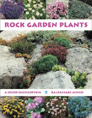 Rock Garden Plants