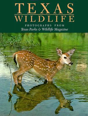 Texas Wildlife: Photographs from Texas Parks & Wildlife Magazine, Introduced By David Baxter, Ted L. Clark and John Jefferson