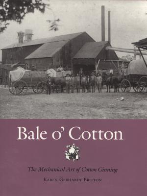 Image for Bale o' Cotton Bale o' Cotton
