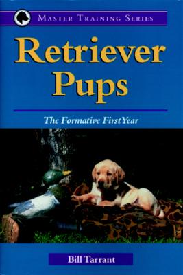 Retriever Pups (Master Training Series)