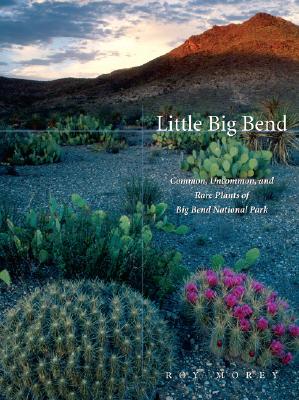 Little Big Bend: Common, Uncommon, and Rare Plants of Big Bend National Park (Grover E. Murray Studies in the American Southwest)