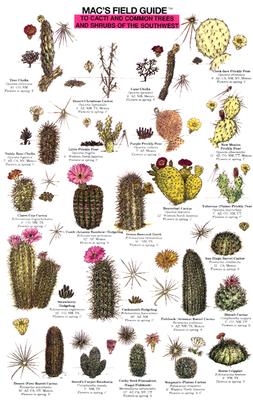 Mac's Field Guide to Cacti and Common Trees and Shrubs of the Southwest (Mac's Guides)