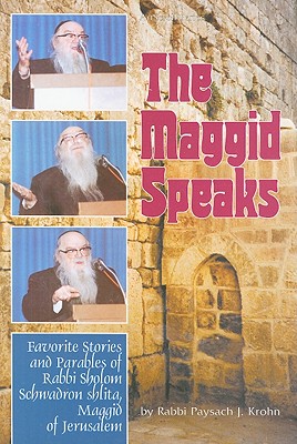 The Maggid Speaks