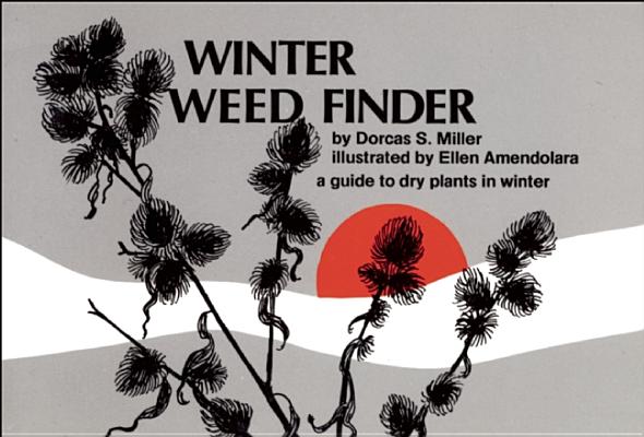 Miller, Dorcas S Winter Weed Finder: A Guide to Dry Plants in Winter