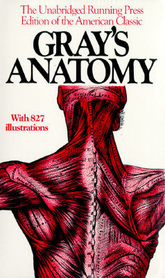 Image for Anatomy, Descriptive and Surgical, 1901 Edition