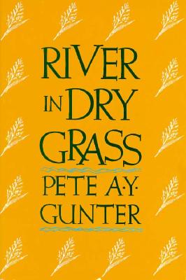 River in Dry Grass