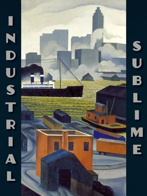Industrial Sublime: Modernism and the Transformation of New York's Rivers, 1900-1940 (The Visitor in the Landscape)