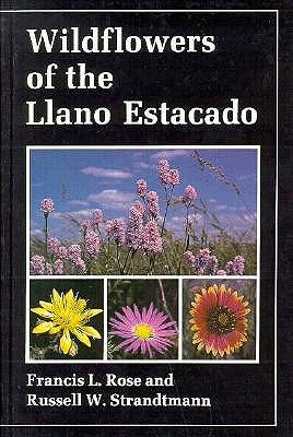 Wildflowers of the Llano Estacado
