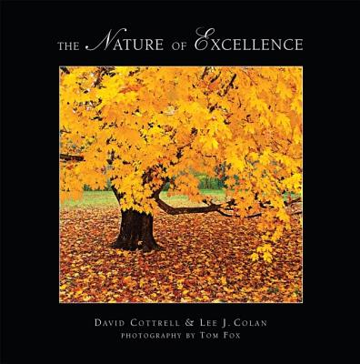 The Nature of Excellence