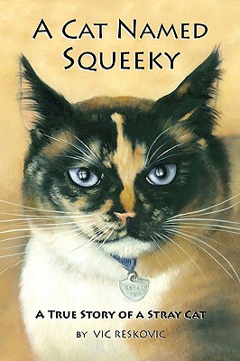 Image for A Cat Named Squeeky