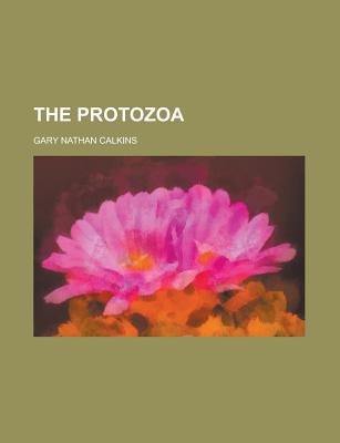 The Protozoa