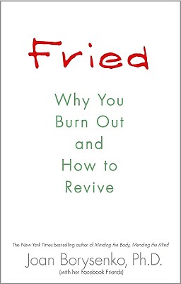 Fried: Why You Burn Out and How to Revive