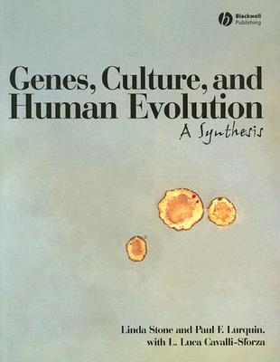 Genes, Culture, and Human Evolution: A Synthesis