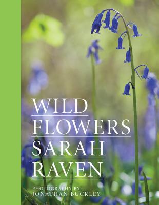 Wild Flowers :