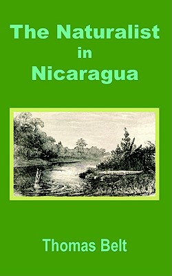 Naturalist in Nicaragua