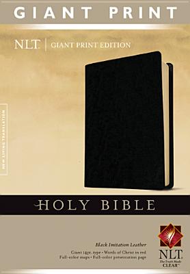 Image for Holy Bible, Giant Print NLT (Holy Bible: Nltse)