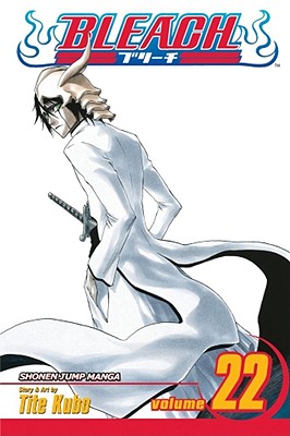 Image for Bleach, Vol. 22